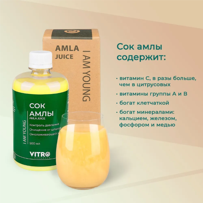 Напиток сокосодержащий АМЛА VITRO 500мл Напиток сокосодержащий АМЛА VITRO 500мл — изображение 1